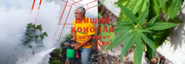 мяу мяу мука Кулебаки